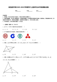 湖北省沙洋县2023-2024学年数学八上期末学业水平测试模拟试题含答案