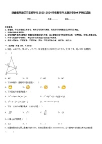 湖南省常德芷兰实验学校2023-2024学年数学八上期末学业水平测试试题含答案