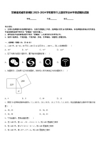 甘肃省武威市凉州区2023-2024学年数学八上期末学业水平测试模拟试题含答案