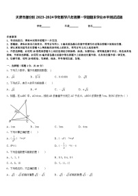 天津市部分区2023-2024学年数学八年级第一学期期末学业水平测试试题含答案