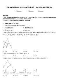 安徽省芜湖市繁昌县2023-2024学年数学八上期末学业水平测试模拟试题含答案