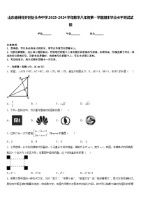 山东德州经开区抬头寺中学2023-2024学年数学八年级第一学期期末学业水平测试试题含答案