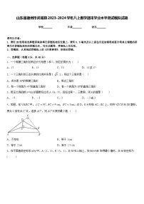 山东省德州市武城县2023-2024学年八上数学期末学业水平测试模拟试题含答案