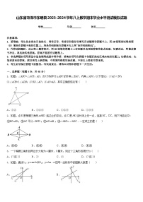 山东省菏泽市东明县2023-2024学年八上数学期末学业水平测试模拟试题含答案