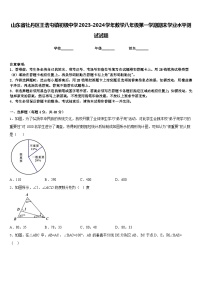 山东省牡丹区王浩屯镇初级中学2023-2024学年数学八年级第一学期期末学业水平测试试题含答案