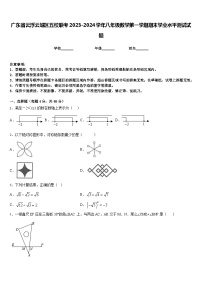 广东省云浮云城区五校联考2023-2024学年八年级数学第一学期期末学业水平测试试题含答案