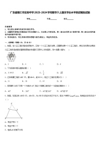 广东省阳江市实验中学2023-2024学年数学八上期末学业水平测试模拟试题含答案