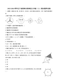 2023-2024学年辽宁省铁岭市铁岭县九年级（上）期末数学试卷(含解析）