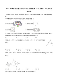 2023-2024学年内蒙古通辽市科左中旗保康二中九年级（上）期末数学试卷(含解析）