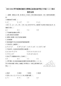 2023-2024学年湖南省衡阳市雁峰区成章实验学校八年级（上）期末数学试卷(含解析）