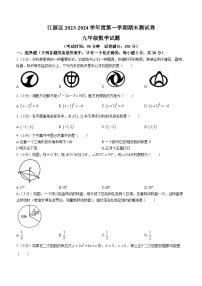 吉林省白山市江源区2023-2024学年九年级上学期期末数学试题