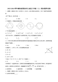 2023-2024学年青海省果洛州久治县八年级（上）期末数学试卷-普通用卷