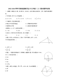 2023-2024学年甘肃省嘉峪关五中九年级（上）期末数学试卷(含解析）