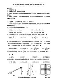 上海市宝山区2023-2024学年九年级上学期期末数学试题（一模）