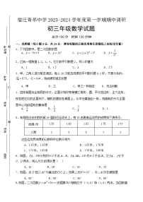 江苏省宿迁市宿迁青华中学2023-2024学年九年级上学期期中考试数学试卷