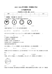 辽宁省朝阳市朝阳县2023-2024学年九年级上学期期末数学试题