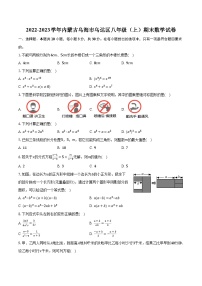 2022-2023学年内蒙古乌海市乌达区八年级（上）期末数学试卷(含解析）