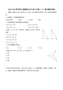 2022-2023学年四川省德阳市中江县八年级（上）期末数学试卷（含解析）