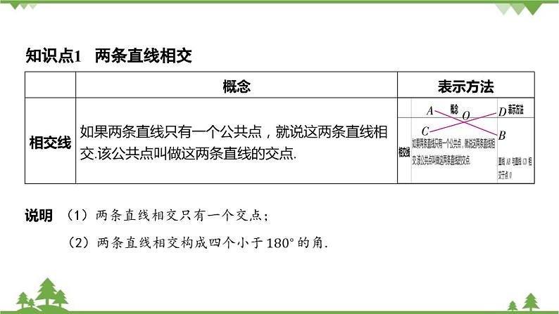 6.9 直线的相交 浙教版数学七年级上册课件03