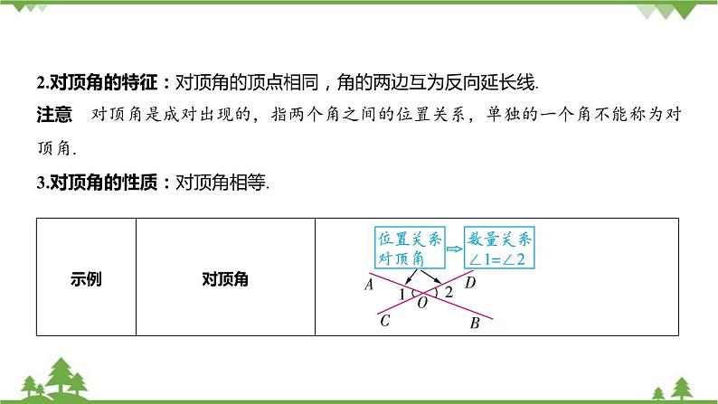 6.9 直线的相交 浙教版数学七年级上册课件第5页