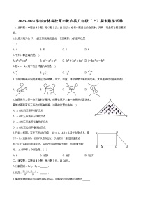 2023-2024学年吉林省松原市乾安县八年级（上）期末数学试卷（含解析）