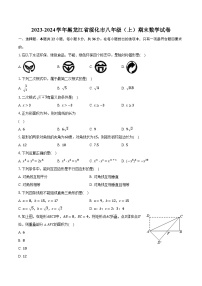 2023-2024学年黑龙江省绥化市八年级（上）期末数学试卷（含解析）