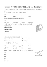 2023-2024学年黑龙江省绥化市明水县八年级（上）期末数学试卷（含解析）