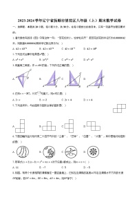 2023-2024学年辽宁省抚顺市望花区八年级（上）期末数学试卷（含解析）