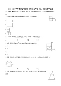 2023-2024学年吉林省松原市长岭县九年级（上）期末数学试卷（含解析）