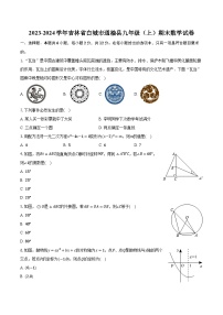 2023-2024学年吉林省白城市通榆县九年级（上）期末数学试卷（含解析）