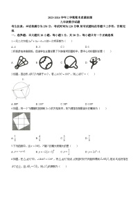 甘肃省平凉市崆峒区崆峒区教育科学研究所2023-2024学年九年级上学期期末数学试题