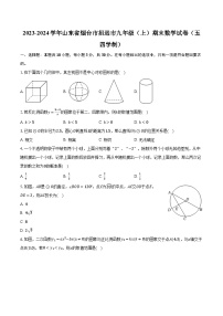 2023-2024学年山东省烟台市招远市九年级（上）期末数学试卷（五四学制）（含解析）