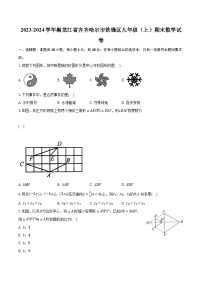 2023-2024学年黑龙江省齐齐哈尔市铁锋区九年级（上）期末数学试卷（含解析）