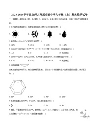 2023-2024学年北京师大附属实验中学九年级（上）期末数学试卷（含解析）