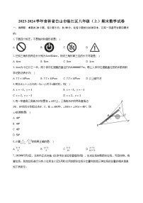 2023-2024学年吉林省白山市临江区八年级（上）期末数学试卷（含解析）