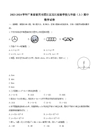 2023-2024学年广东省韶关市武江区北江实验学校九年级（上）期中数学试卷（含解析）