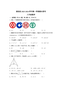 甘肃省定西市陇西县镇南九年制学校2023-2024学年八年级上学期期末数学试题（含解析）