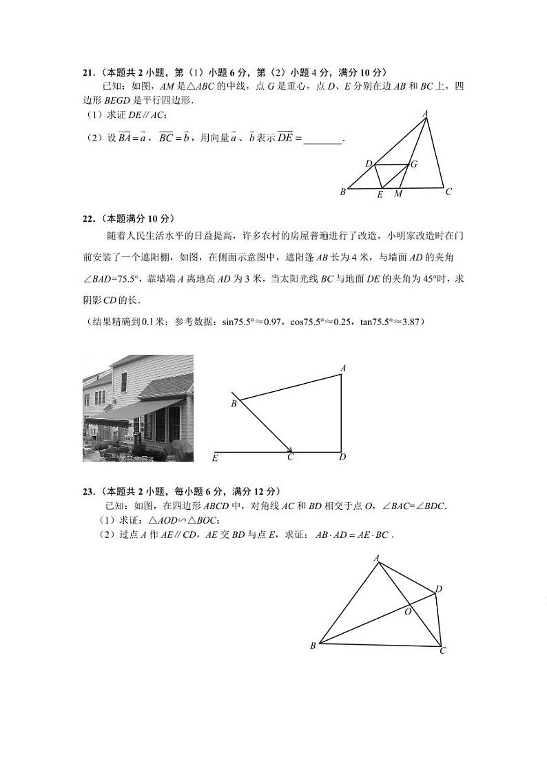 2024年上海市金山区九年级中考一模数学试卷+03