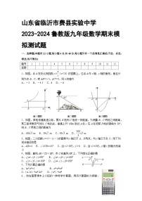 山东省临沂市费县实验中学2023-2024鲁教版九年级数学期末模拟测试题