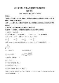 上海市青浦区2023-2024学年九年级上学期期末(一模）数学试题(无答案)