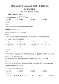 精品解析：安徽省马鞍山市花山区马鞍山市成功学校2022-2023学年八年级上学期期中数学试题（解析版）