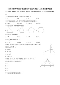 2023-2024学年辽宁省大连市中山区八年级（上）期末数学试卷（含解析）