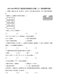 2023-2024学年辽宁省沈阳市法库县九年级（上）期末数学试卷（含解析）