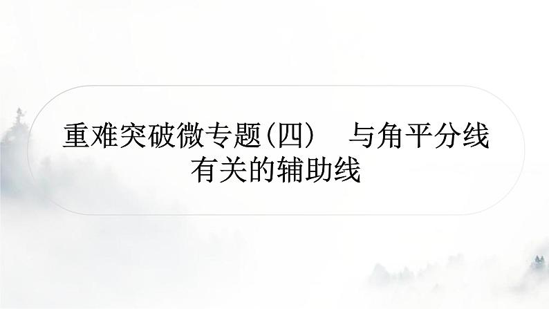 中考数学复习重难突破微专题(四)与角平分线有关的辅助线课件01