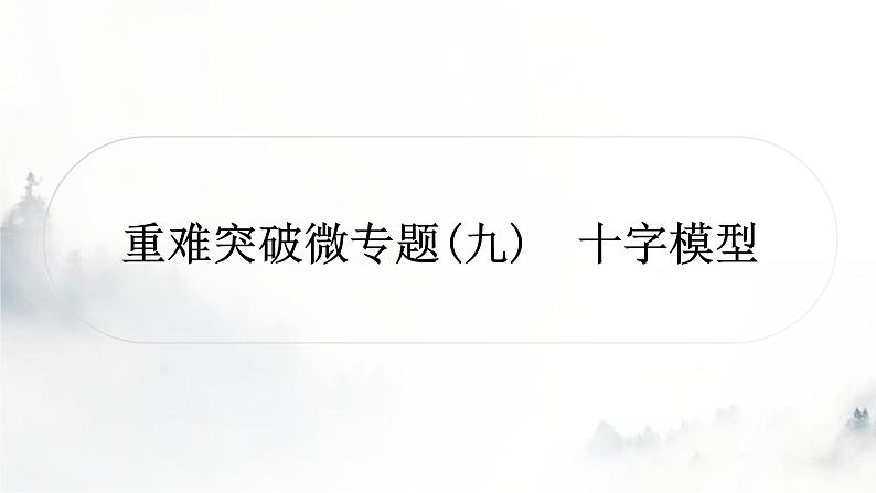 中考数学复习重难突破微专题(九)十字模型课件第1页