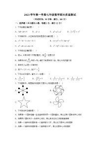 上海市浦东新区川沙镇2023-2024学年七年级（上）期末数学试题（含解析）