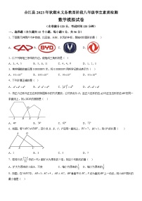 四川省泸州市合江县教育发展研究中心2023-2024学年八年级（上）期末数学试题（含解析）