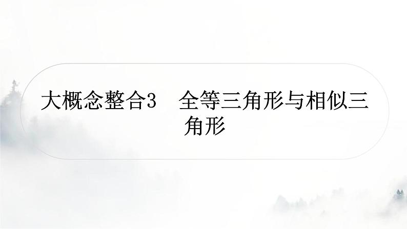 中考数学复习第四章三角形大概念整合3全等三角形与相似三角形课件01