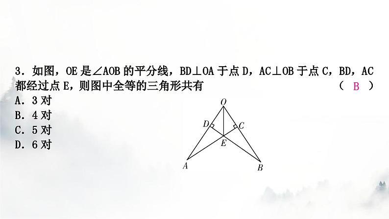 中考数学复习第四章三角形大概念整合3全等三角形与相似三角形课件04