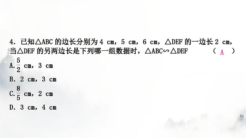 中考数学复习第四章三角形大概念整合3全等三角形与相似三角形课件05